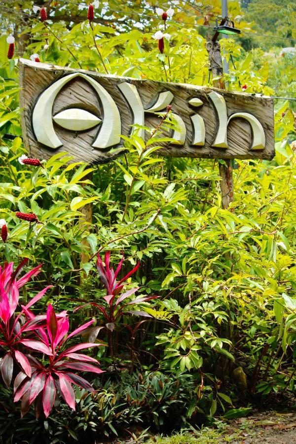 Hostal Akih Pods